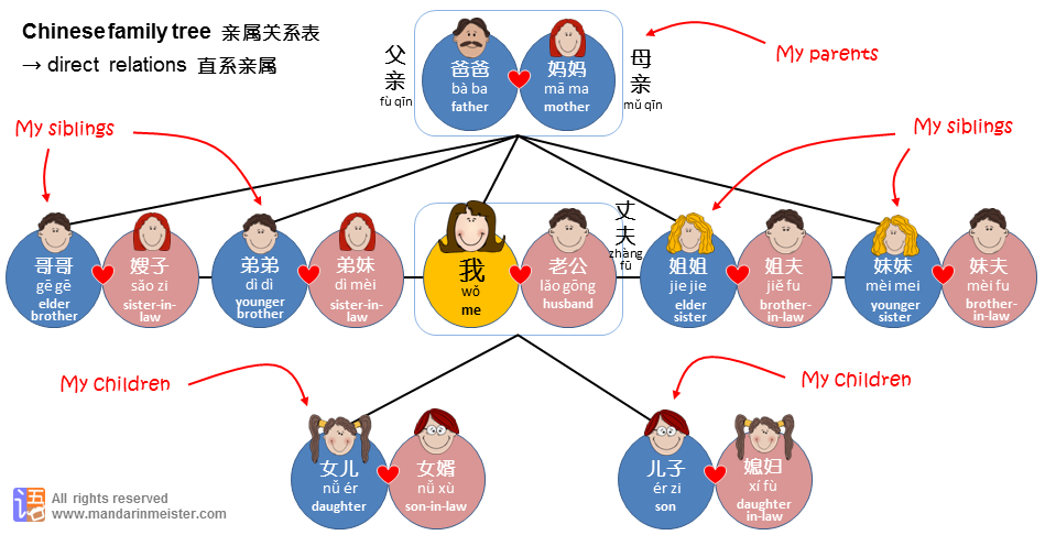 Family Structure: The Binuclear Family